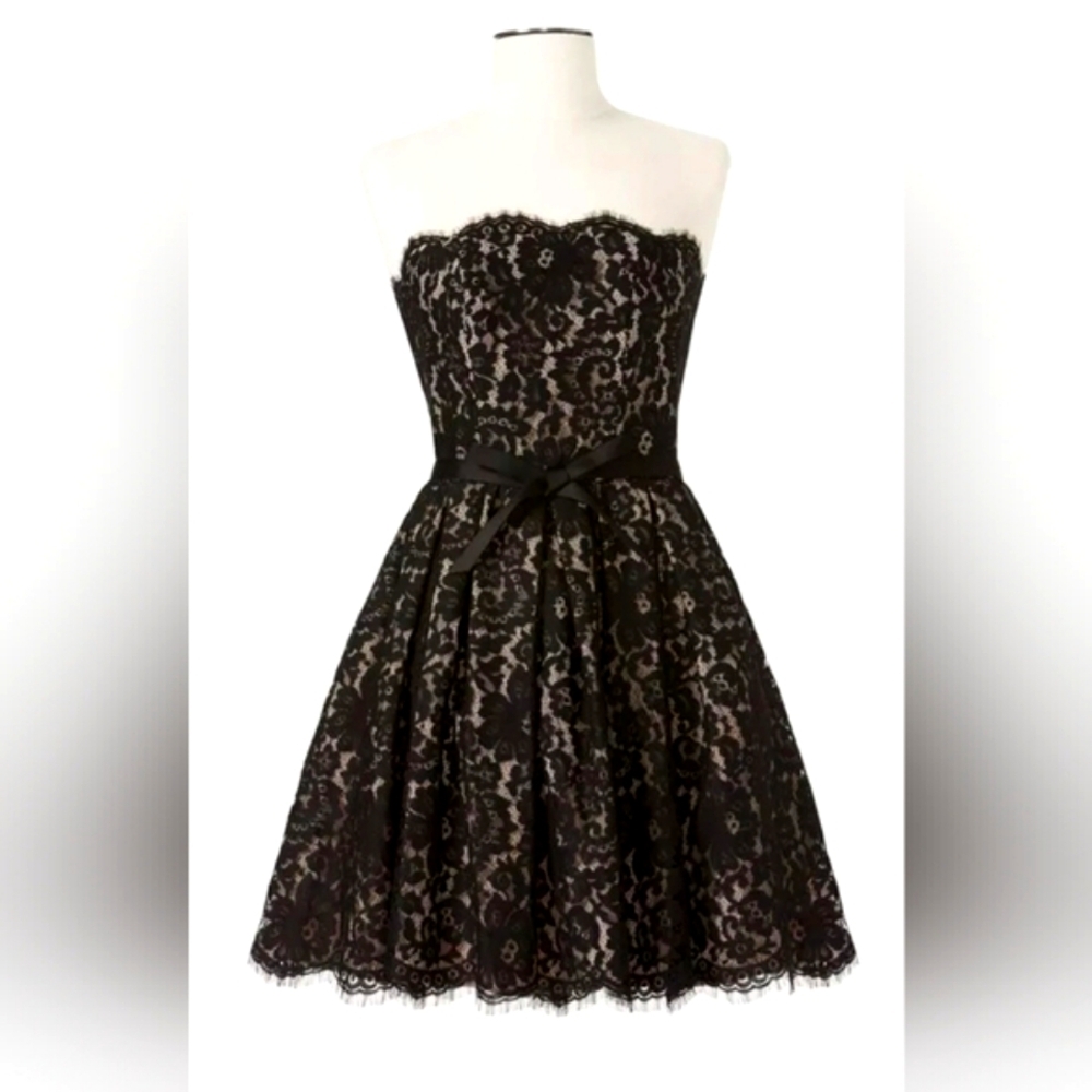 Robert Rodriguez Black Lace Strapless Dress